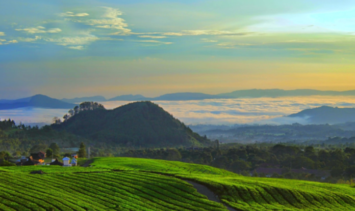 Wisata Subang menjadi salah satu destinasi favorit warga ibukota